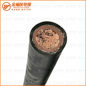 石油平台用电力电缆2